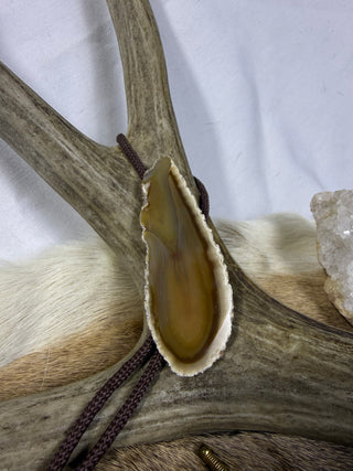 Agate Vintage Bolo Tie