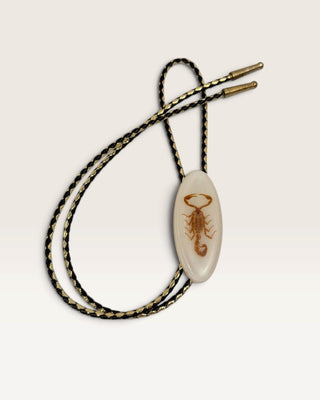 Scorpion in Resin Bolo Tie