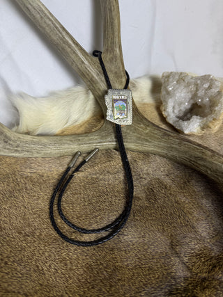 Arizona Commemorative Elks Club Vintage Bolo Tie