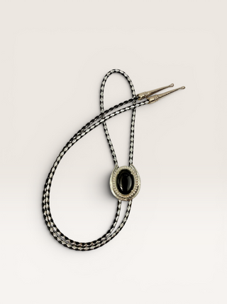Petrified Wood Silver Horse Shoe Bolo Tie