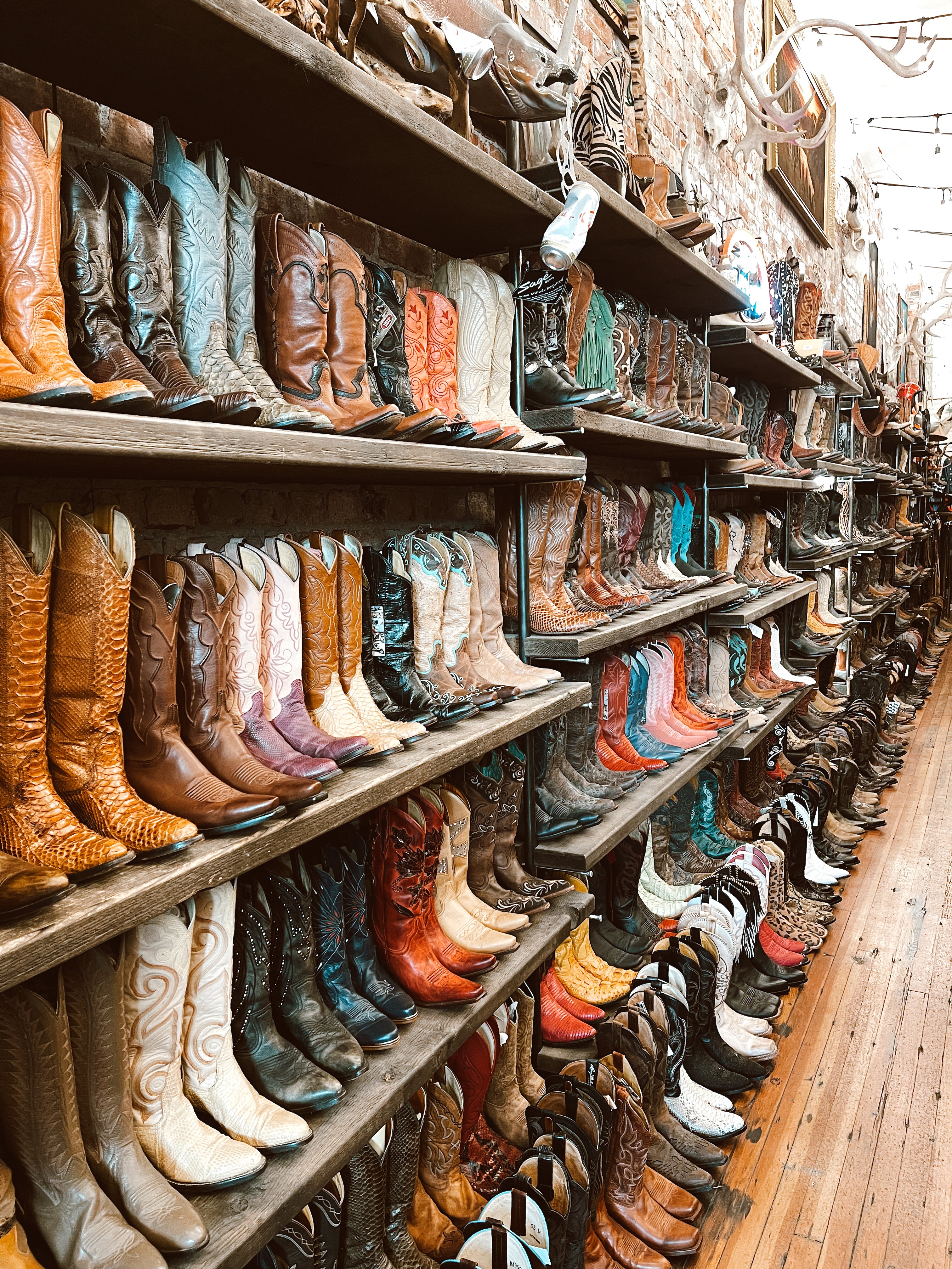 The boot store top