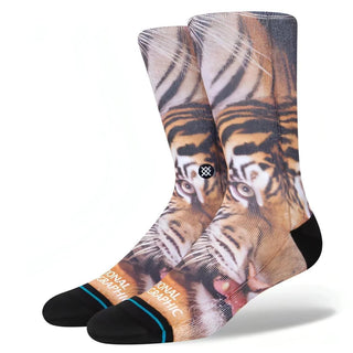 Two Tigers Crew Socks