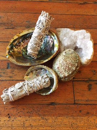 Abalone Shell
