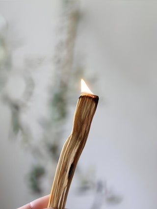 Palo Santo Incense Bundle of 6